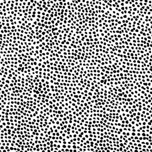 Dalmatian Wallpaper Mural | WallpaperMural.com