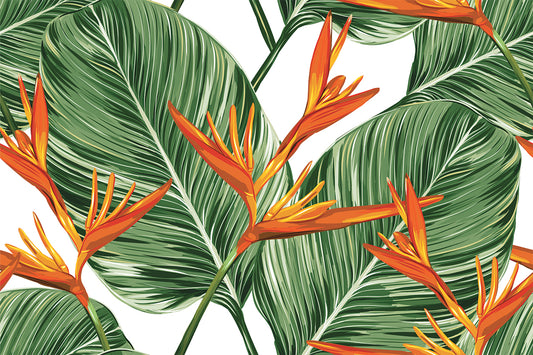 Kala - Green Tropical Watercolour Illustration Wallpaper Mural