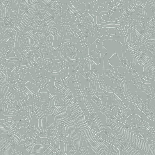 Excond - Grijs & Zwart Contour Line Art Fotobehang