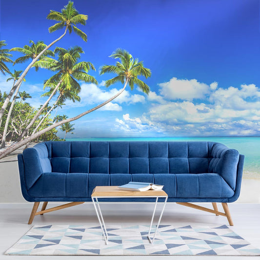 Palmeira in a minimal living room