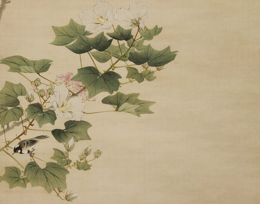 Sparrow Full Artwork