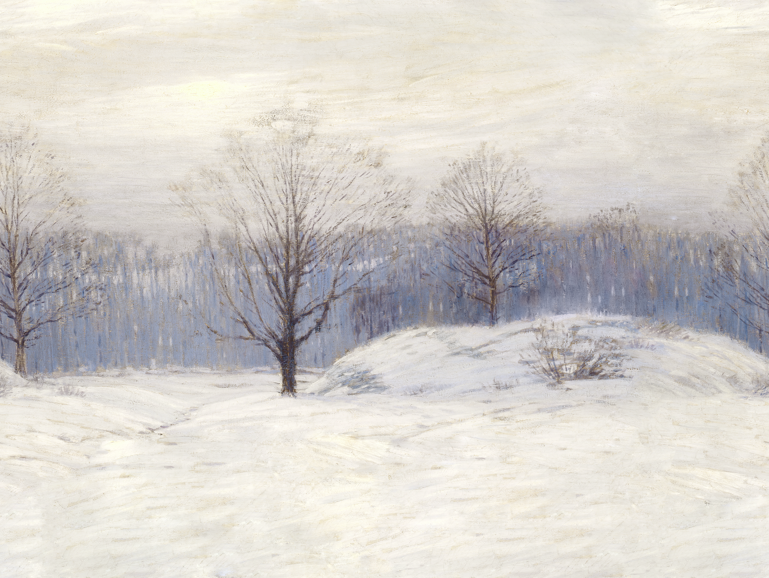 Winter landscape with snow-covered ground and bare trees under a cloudy sky.