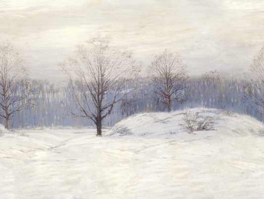 Winter landscape with snow-covered ground and bare trees under a cloudy sky.