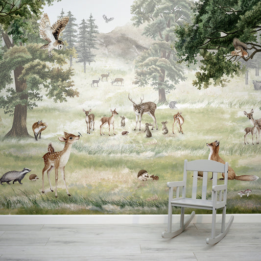 Children's Woodland Wallpaper & Wall Murals