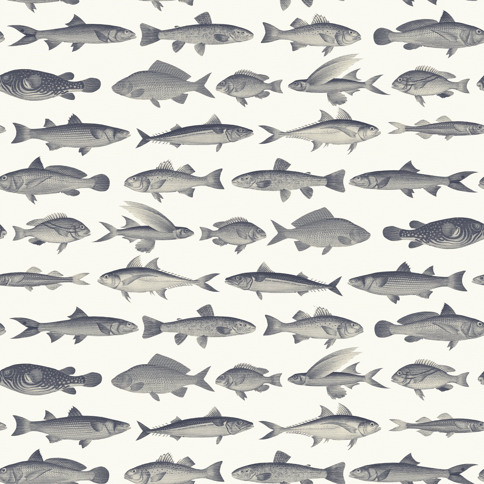 Jules - Vintage Nautical Fish Wallpaper Mural