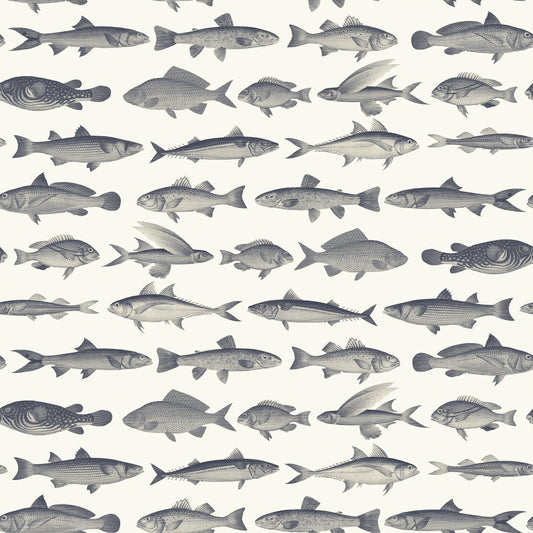 Jules - Vintage Nautical Fish Wallpaper Mural