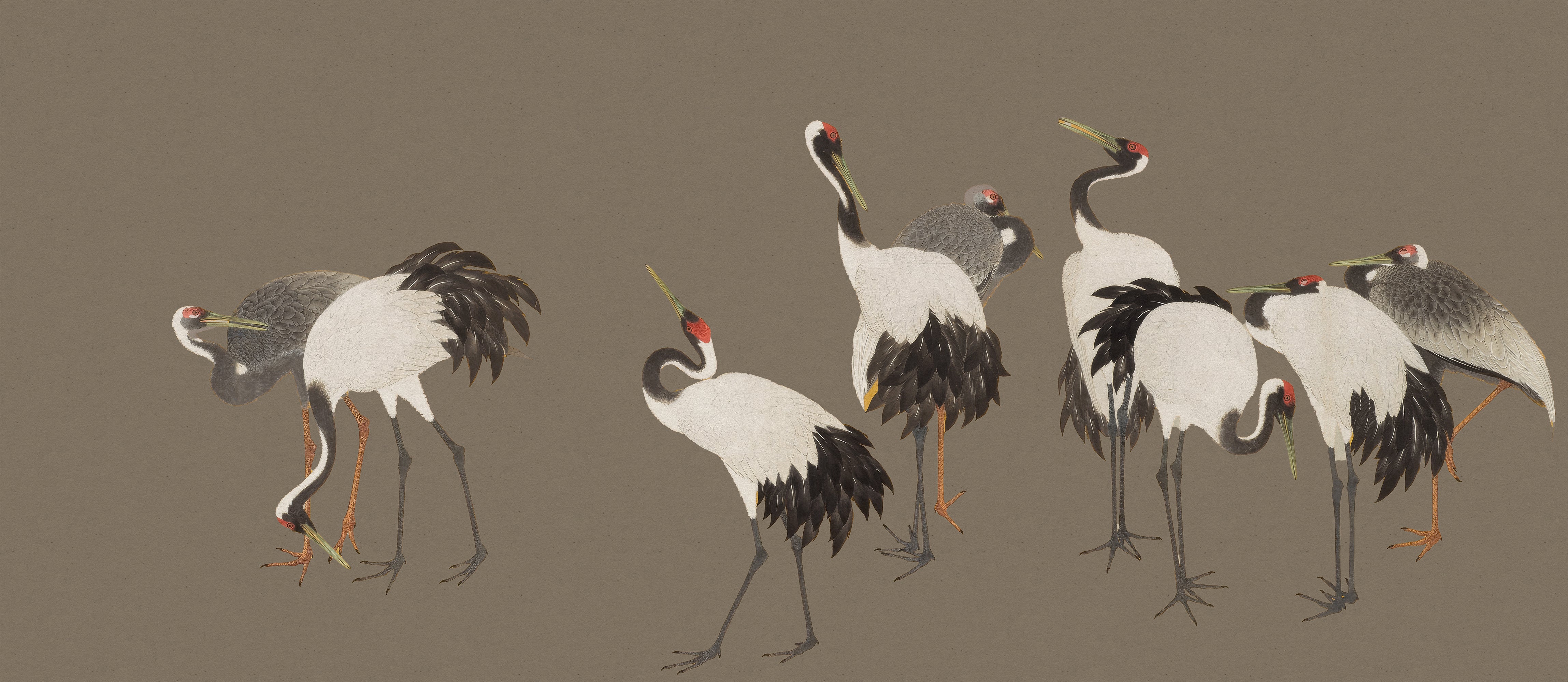 Sora - Cotemporary Japanese Crane Wallpaper Mural