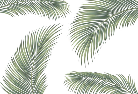 Kona - Tropische palm behang muurschildering