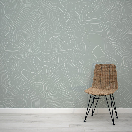 Excond - Sage Green & White Contour Line Art Wall Mural